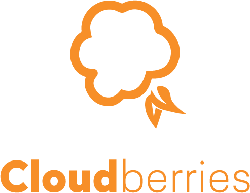 Logo Cloudberries - Råeste på digital inovasjon